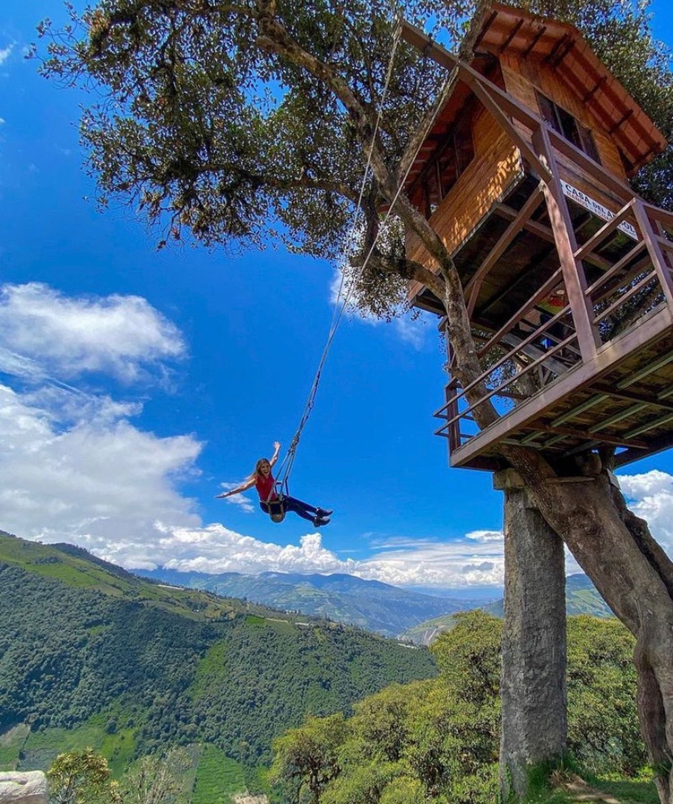 Tour Animal Park y Casa del Árbol